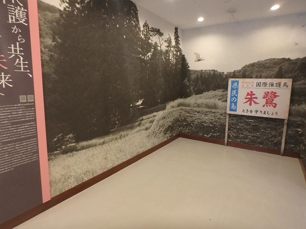 昭和時代の佐渡の風景の再現
