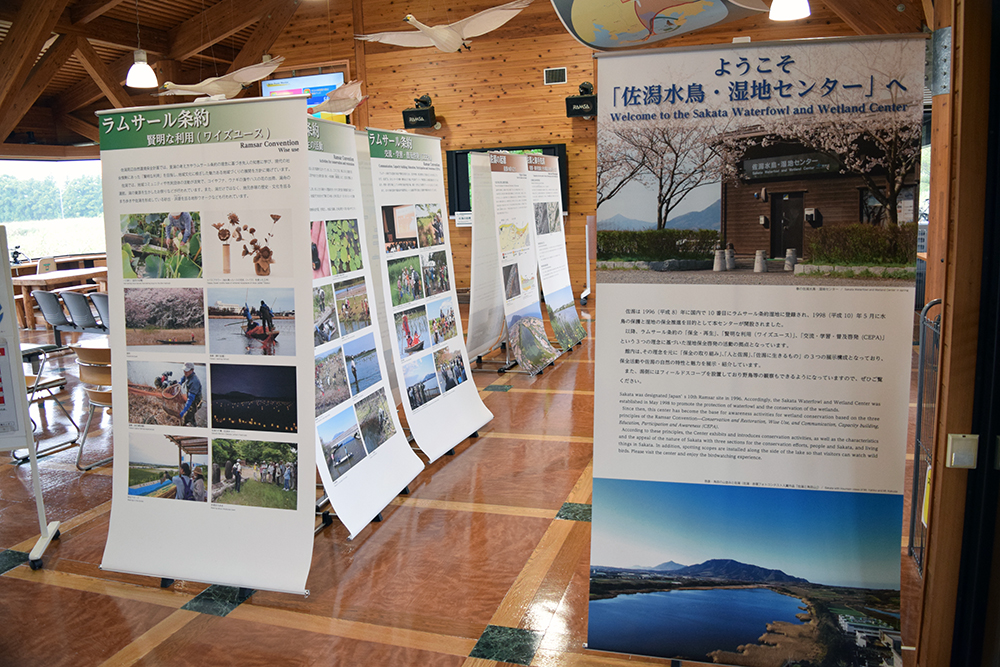 佐潟水鳥・湿地センター多目的室展示改修設計業務