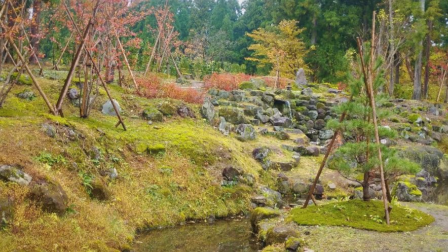 名勝旧関山宝蔵院庭園 修復設計・監理