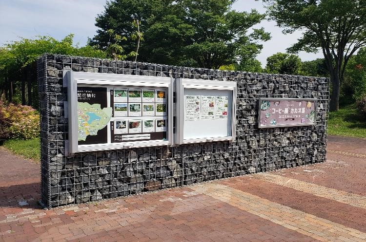 県立植物園エントランスゲート設計