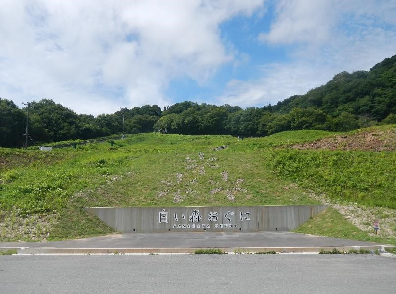 小国道の駅緑化整備設計・監理