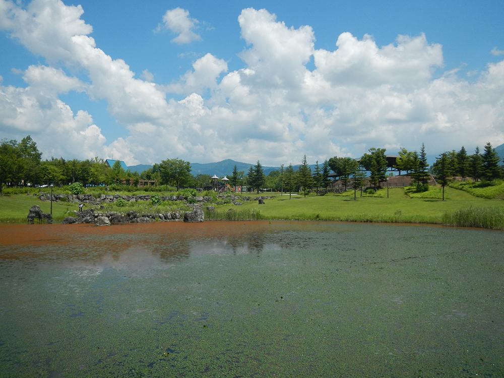 奥只見レクリエーション都市公園（浦佐地域）～八色の森公園～