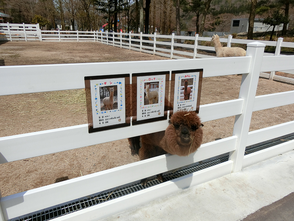 樽ケ橋遊園リニューアル