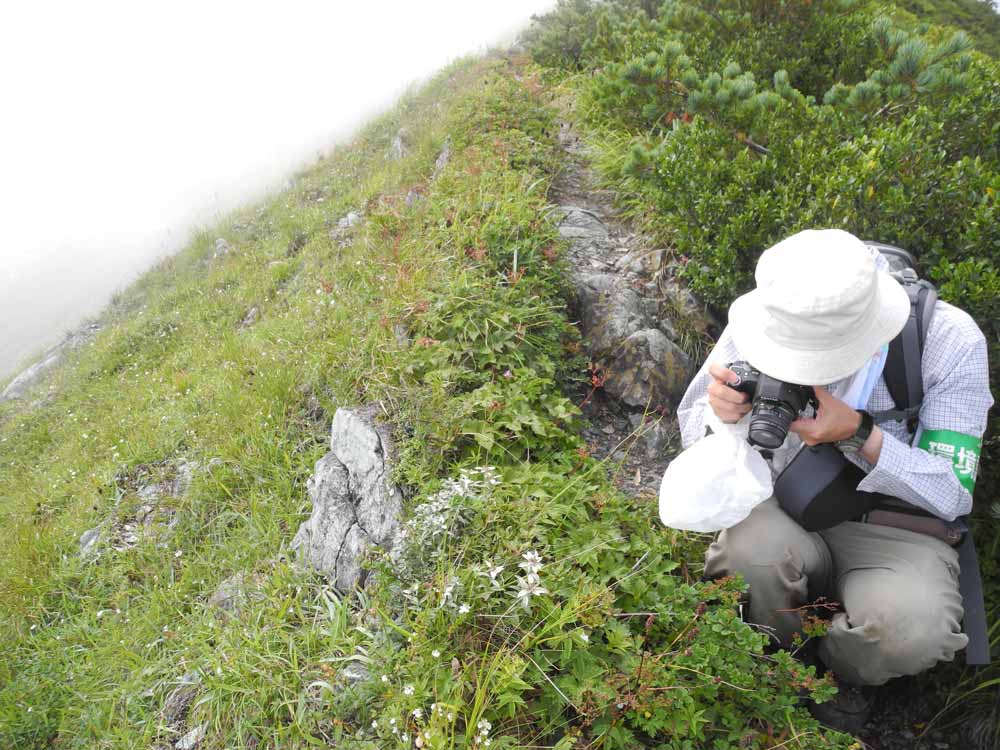 国立公園の登山道の保護管理のための情報把握調査