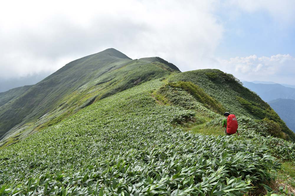 国立公園の登山道の保護管理のための情報把握調査