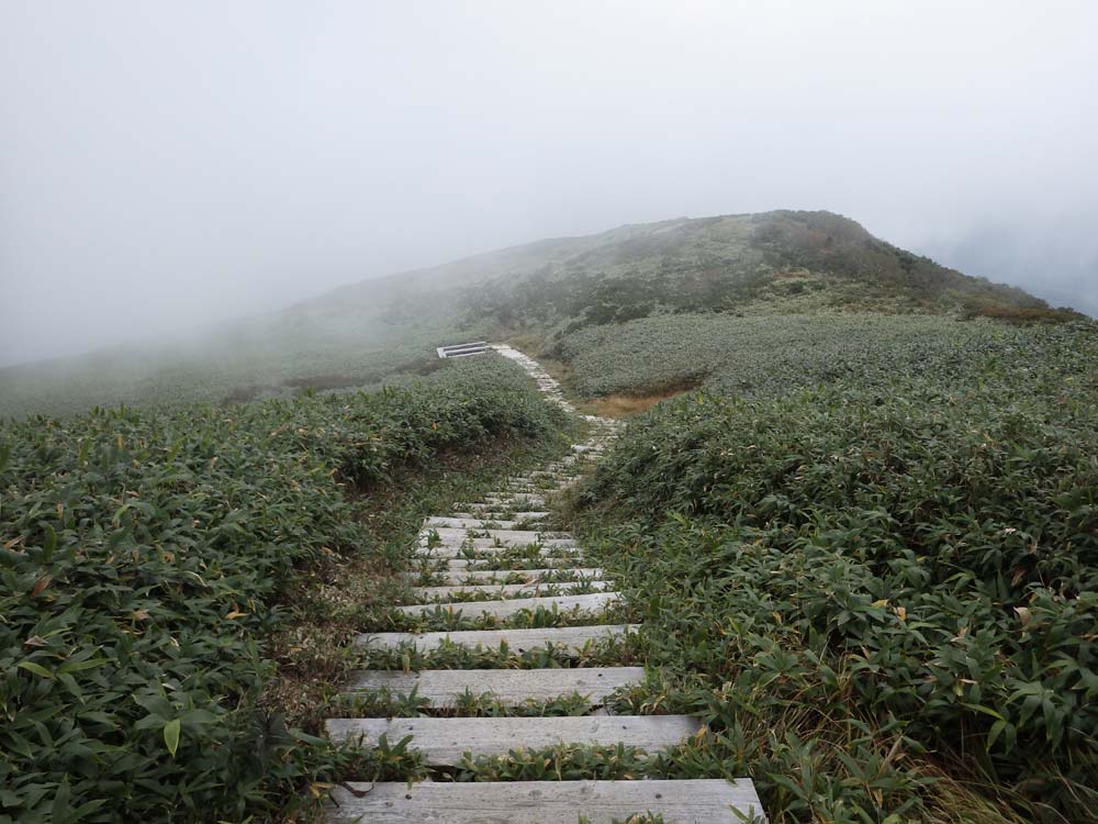 国立公園の登山道の保護管理のための情報把握調査