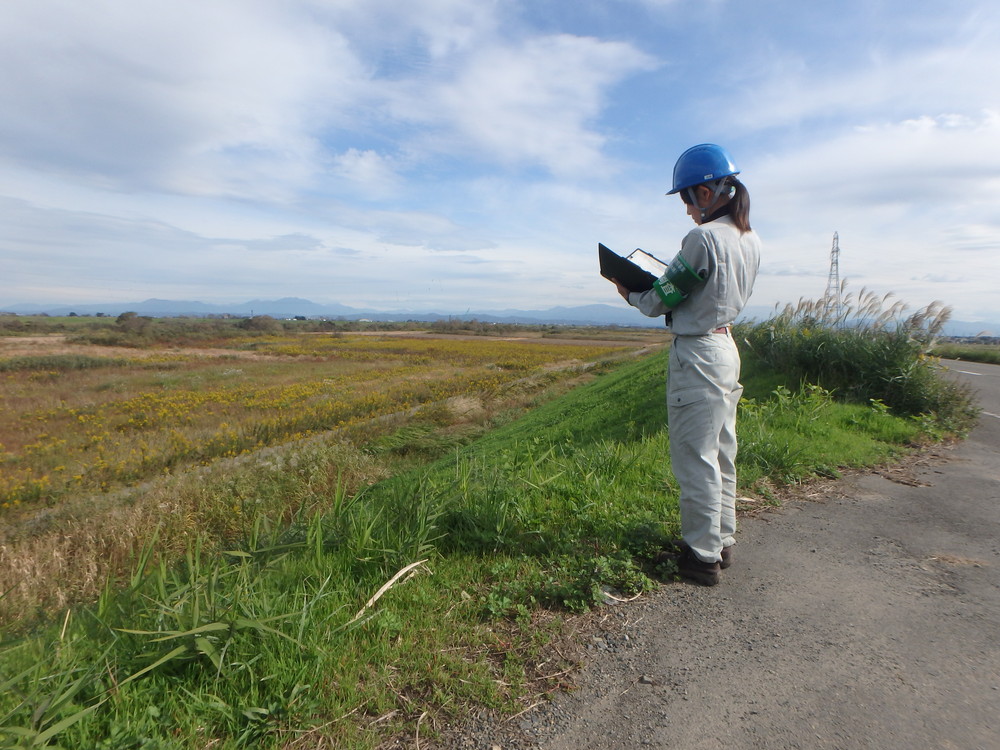 信濃川水辺現地調査（河川環境基図作成）業務