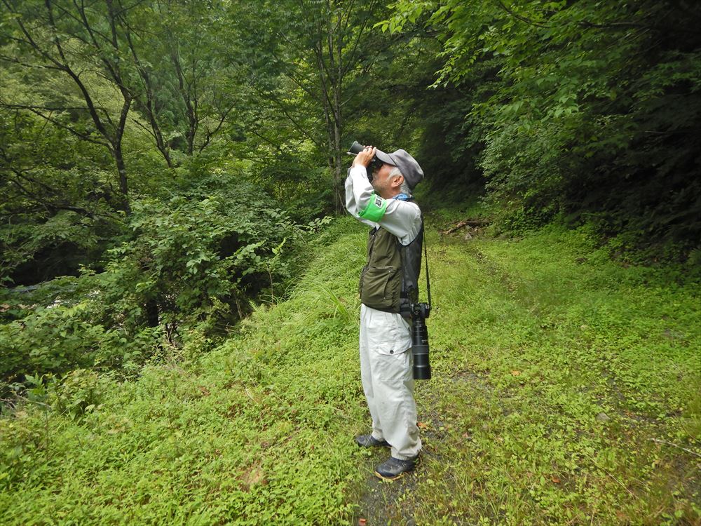 越美山地緑の回廊モニタリング調査