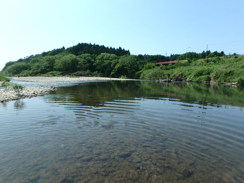 河川水辺の国勢調査（底生動物調査）