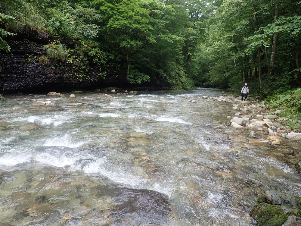 白神山地世界遺産地域における原生的ブナ林の長期変動調査