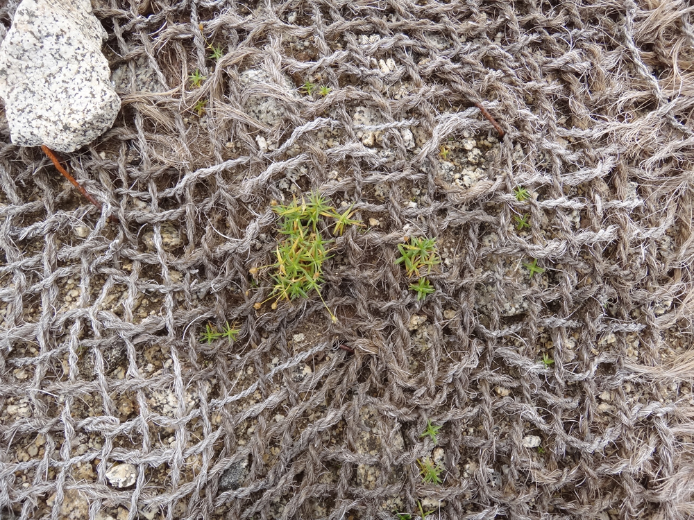 高山植物保護と利用、管理