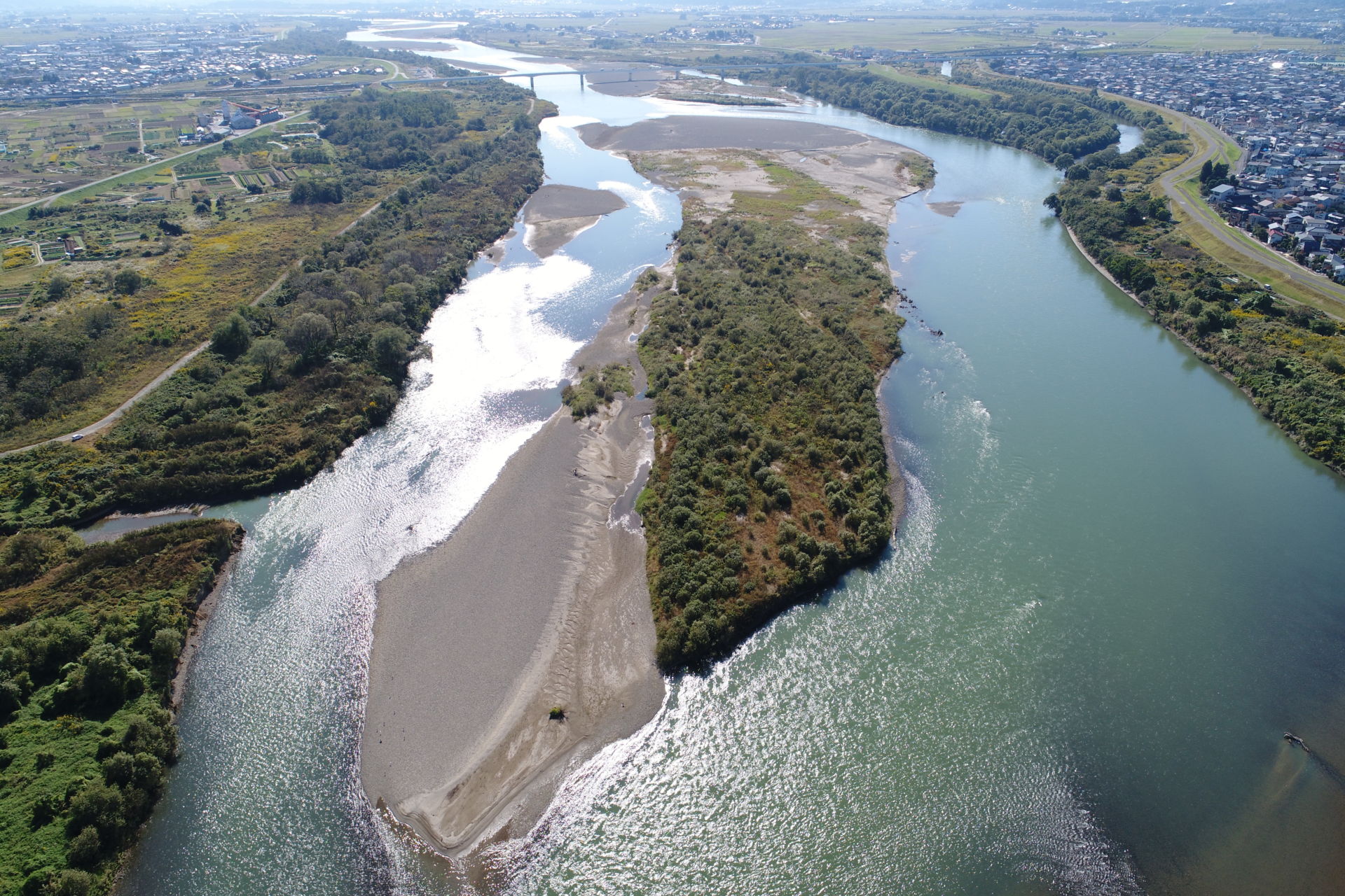 信濃川水辺現地調査（河川環境基図作成）業務