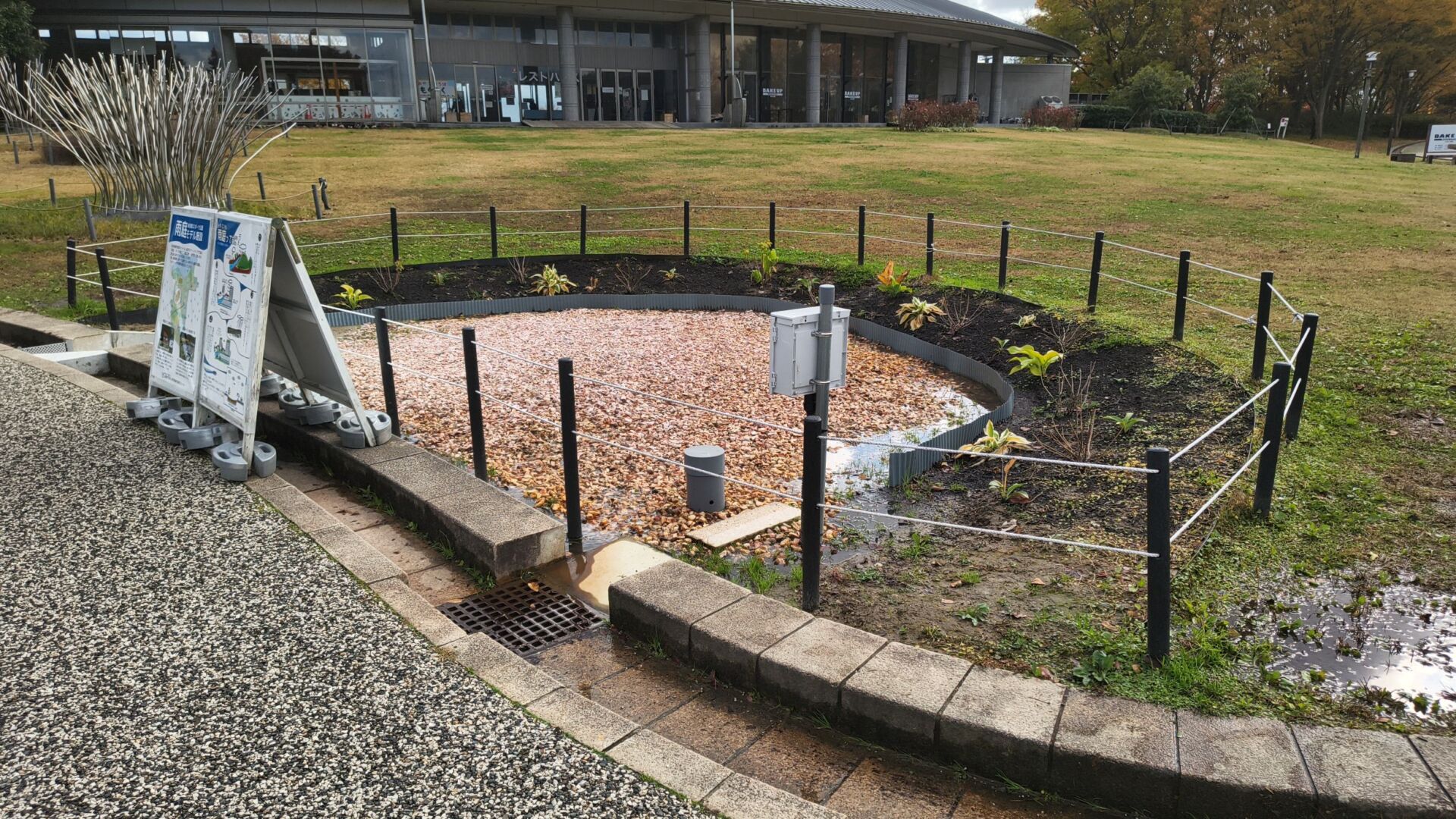 雨庭