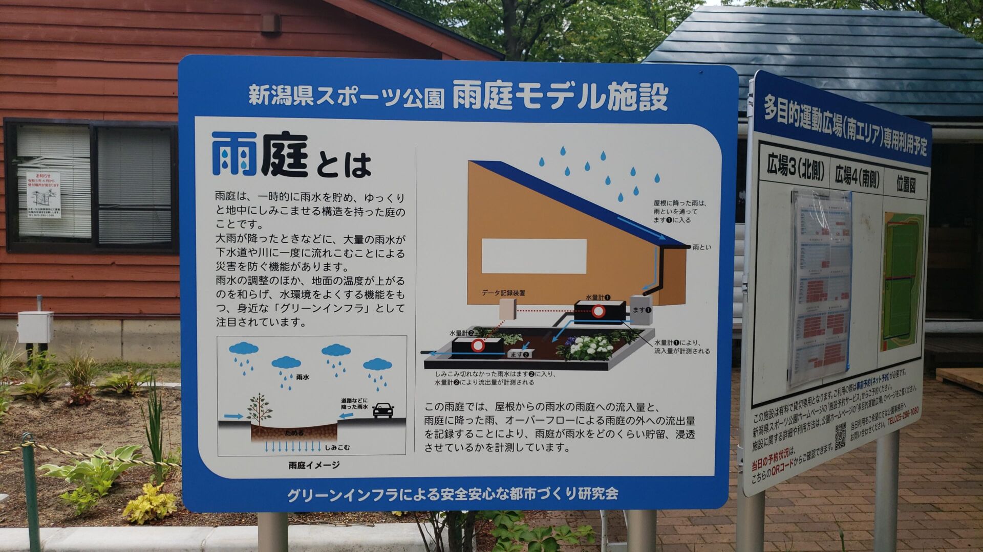 雨庭
