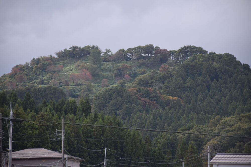 山城を活用した観光計画
